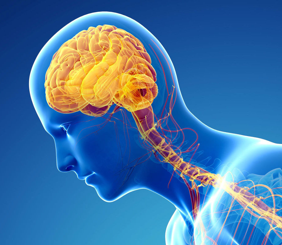 ÚVOD DO KRANIOSAKRÁLNÍ NEUROBALANCE